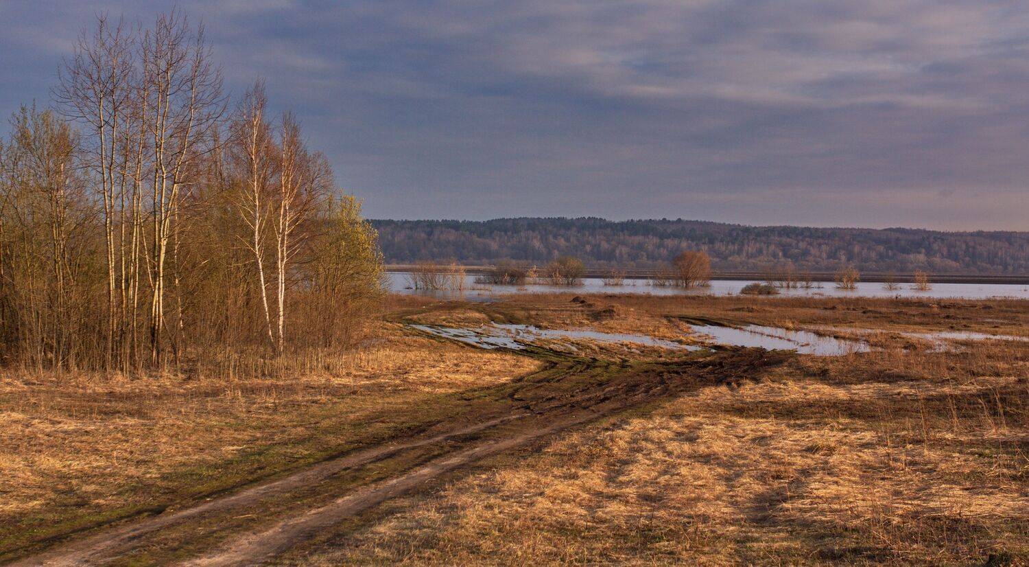 Там, где просыпается весна