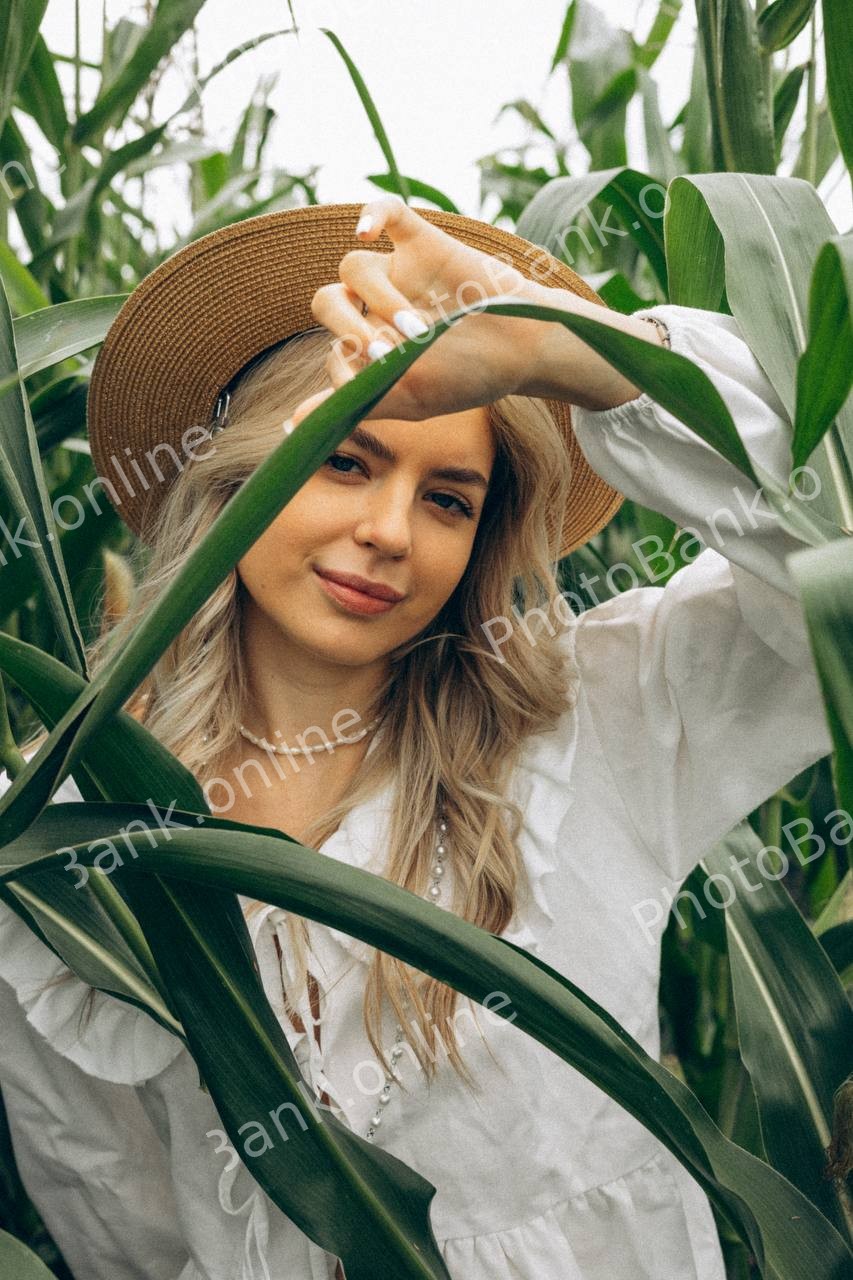 id 69948904