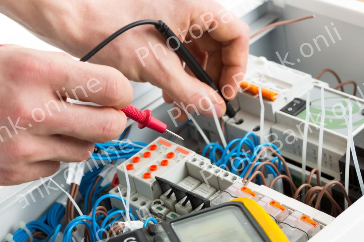 id 14831955